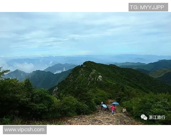 杨娜独家分享攀岩技巧与心得体会助你轻松征服高峰