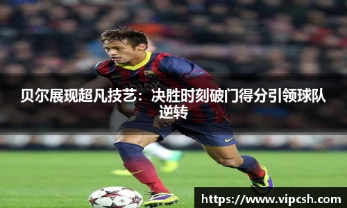 BB贝博登录入口