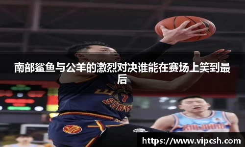 南部鲨鱼与公羊的激烈对决谁能在赛场上笑到最后
